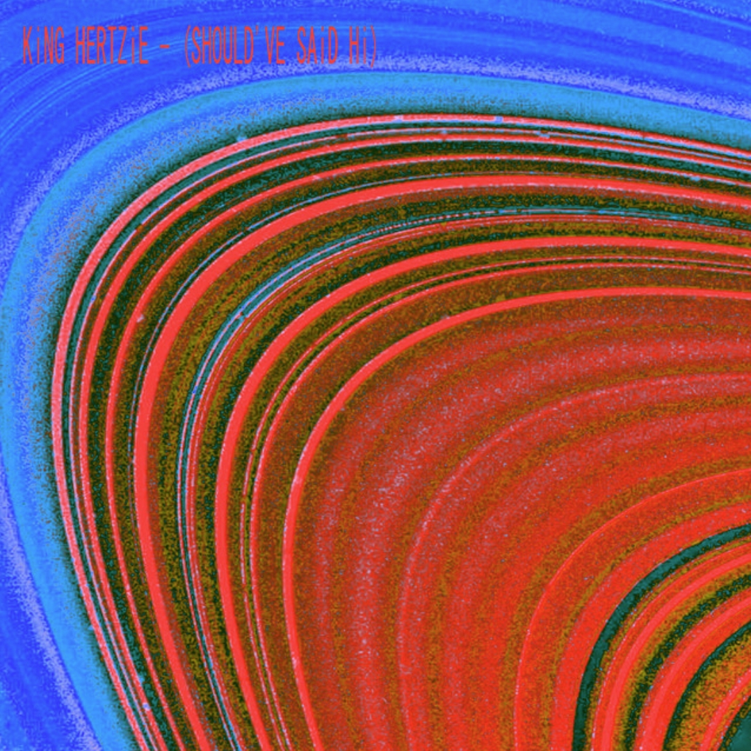 (Should've Said Hi) cover art