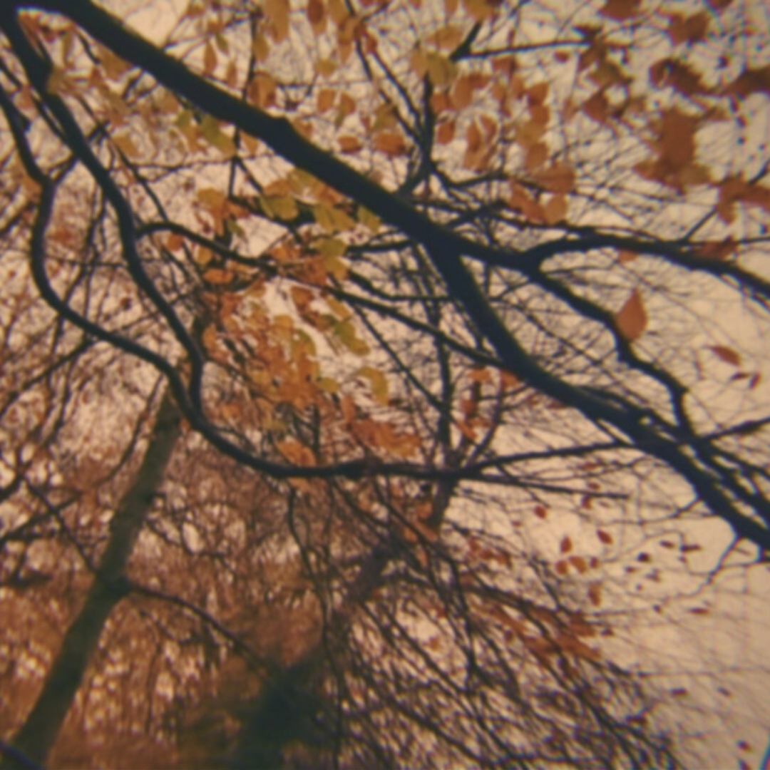 We Fell In Love In October cover art